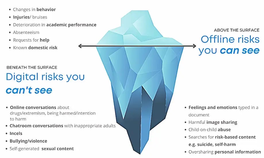 Graphic  Online & Offline Risks  US (2000 × 1080px) (6) (1)